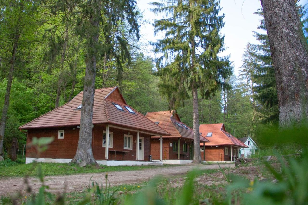 ביילה טושנד Tusnad Camping מראה חיצוני תמונה
